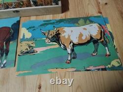 Ancien jeu de cubes (24 cubes) fin 19e début 20e S