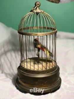 Automate cage oiseaux siffleur ancienne