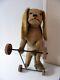 Beau Chien Sur Roues Long Oreilles Longueuer 45 Cm Beau Mohair Beige