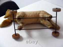 Beau chien sur roues long oreilles longueuer 45 cm beau mohair beige