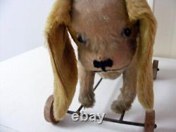 Beau chien sur roues long oreilles longueuer 45 cm beau mohair beige