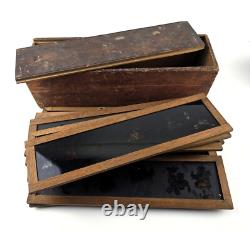 Boite de 12 grandes plaques peintes de lanterne magique 19eme