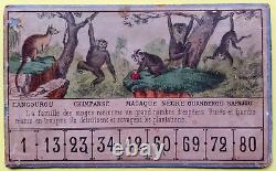 C. 1870 Tres Rares Cartons De Jeu Ancien Loto Zoologique Narcon