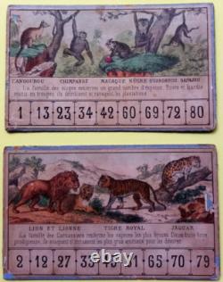 C. 1870 Tres Rares Cartons De Jeu Ancien Loto Zoologique Narcon