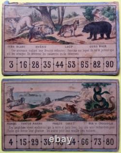 C. 1870 Tres Rares Cartons De Jeu Ancien Loto Zoologique Narcon