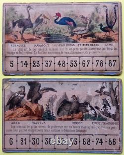 C. 1870 Tres Rares Cartons De Jeu Ancien Loto Zoologique Narcon