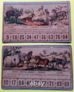 C. 1870 Tres Rares Cartons De Jeu Ancien Loto Zoologique Narcon