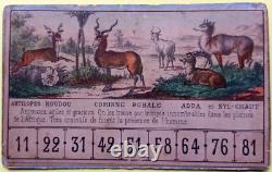 C. 1870 Tres Rares Cartons De Jeu Ancien Loto Zoologique Narcon