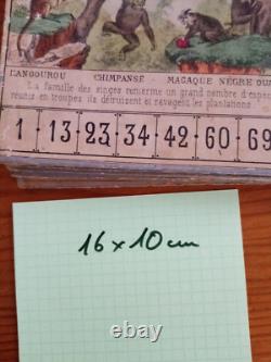 C. 1870 Tres Rares Cartons De Jeu Ancien Loto Zoologique Narcon