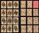 Card Game Jeu De Cartes A Jouer Jeu Jouer Cartes 1870