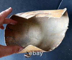 Coq Masque Ancien Adulte Téte Entiére Carton Peint circa 1900 Rooster