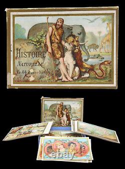 HISTOIRE NATURELLE en 64 planches vers 1900 / jouet jeu ancien