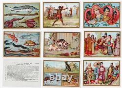 HISTOIRE NATURELLE en 64 planches vers 1900 / jouet jeu ancien