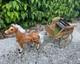 Jouet Cabriolet Hippomobile Cheval Miniature Déco Poupée Taille Parisienne Xxème
