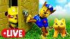 Live La Pat Patrouille Emprisonn Dans Le Ch Teau Hant Jeux Avec Jouets En Direct