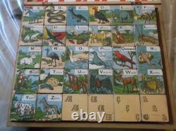 Rare Ancien Jeu De 30 Cubes Alphabetiques Illustres En Bois Annees 1900